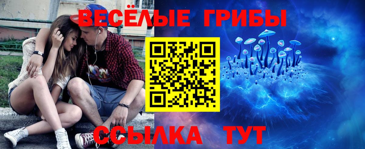 Галлюциногенные грибы мицелий Котельники