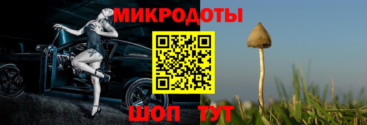 сколько стоит  Псилоцибиновые грибы мицелий  Котельники  Вход с VPN  Галлюциногенные грибы прущие грибы 